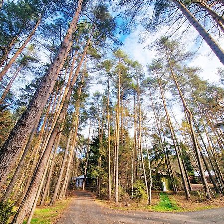Bungalow Direkt Am See, Mit Eigenem Boot Roding Exterior photo