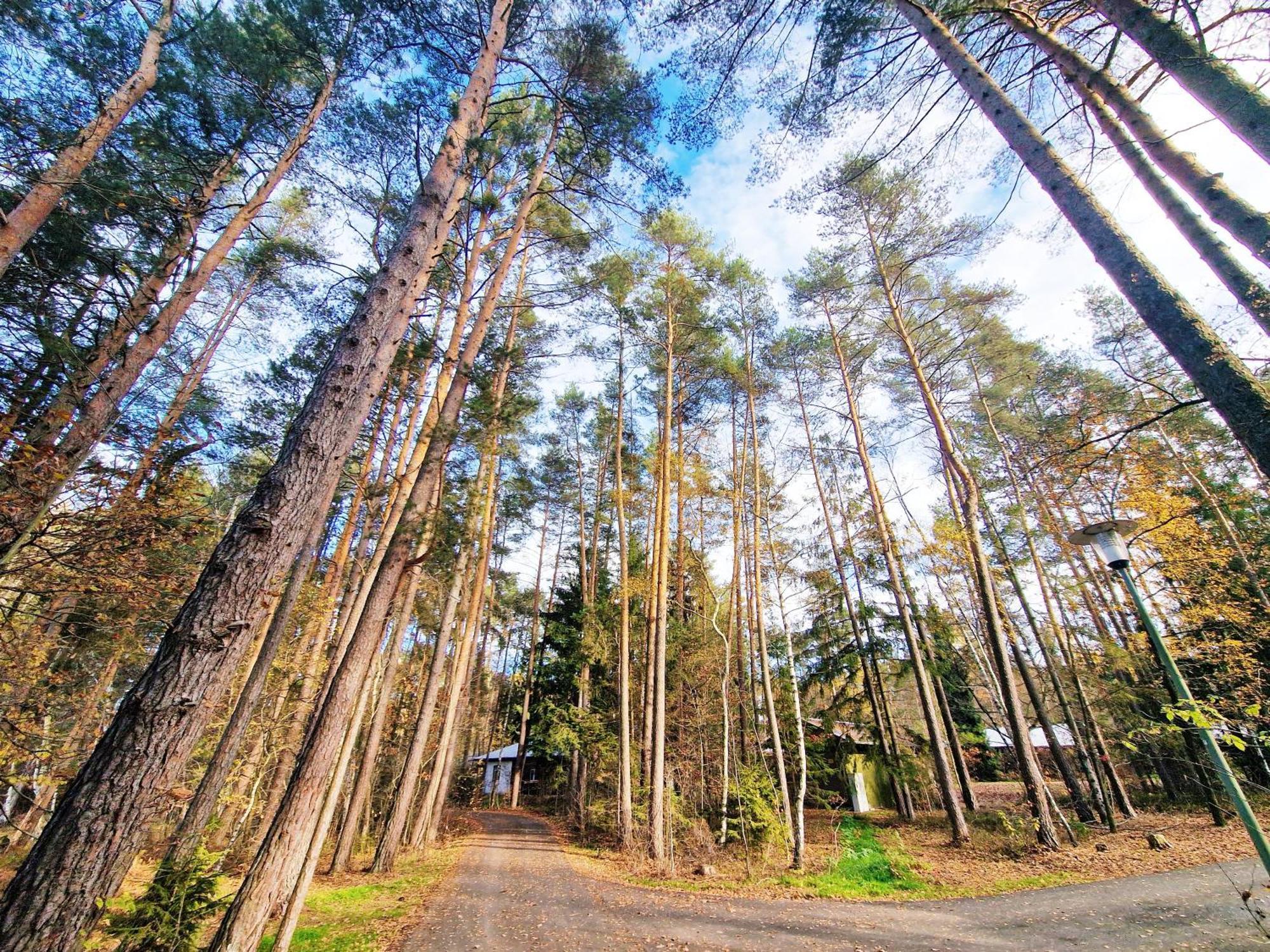Bungalow Direkt Am See, Mit Eigenem Boot Roding Exterior photo